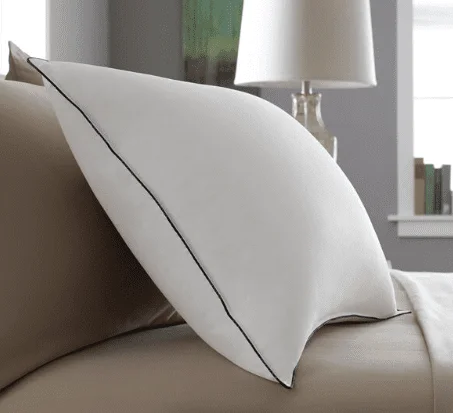 Pacific Coast Feather Slumber Core Pillow | All Down Pillow