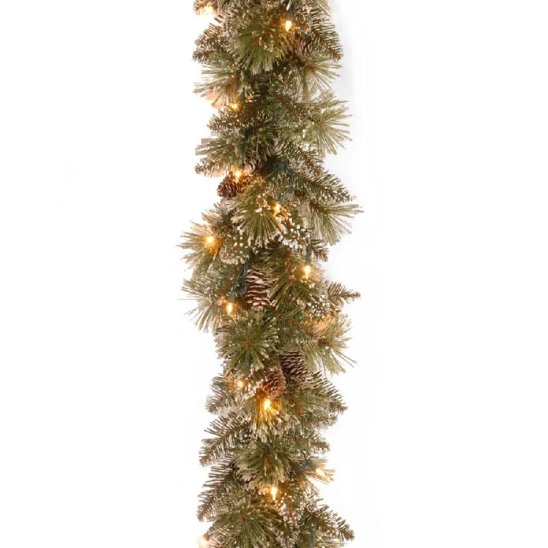 9 ft. Glittery Bristle Pine Garland with Clear Lights - $40